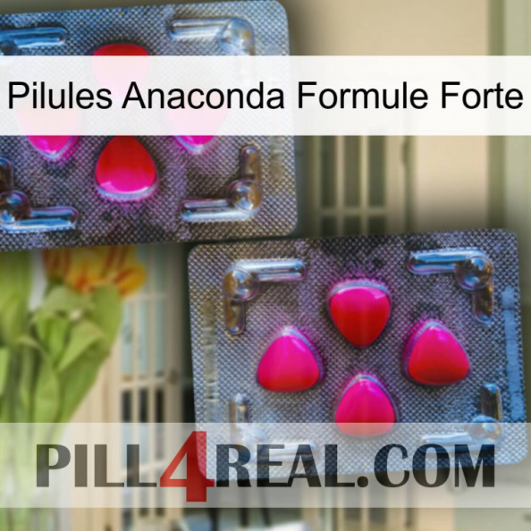 Anaconda Strong Formula Pills 15.jpg